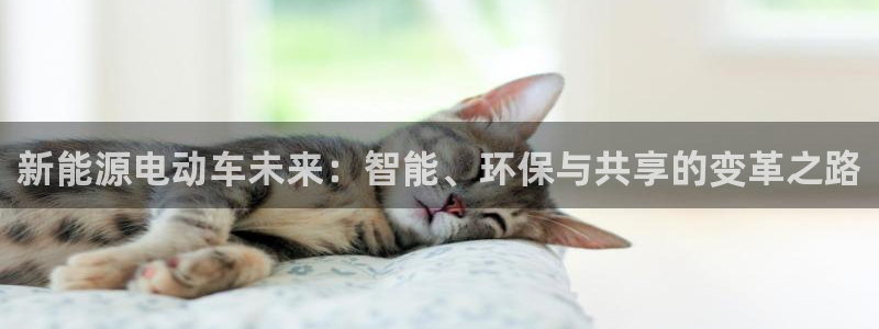 众腾娱乐平台官网入口