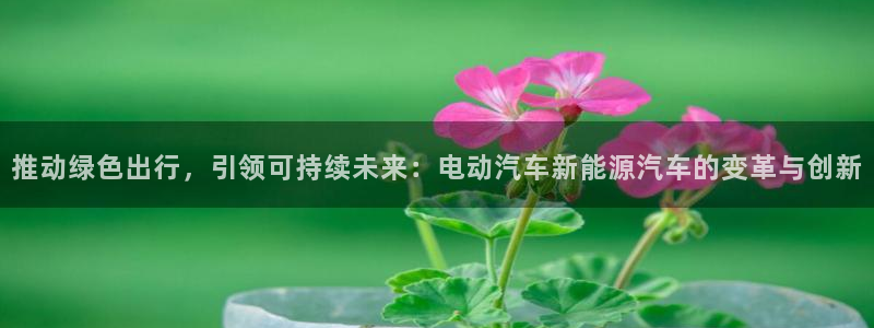 众腾娱乐平台：推动绿色出行，引领可持续未