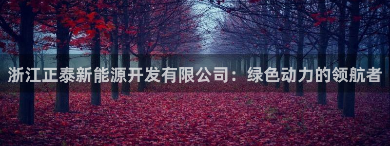众腾娱乐开户：浙江正泰新能源开发有限公司