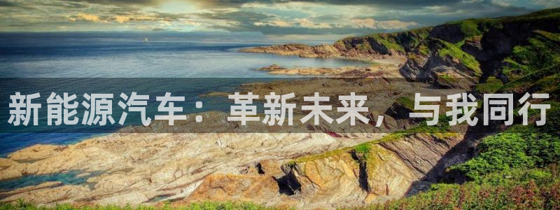 楚雄众腾娱乐是干什么的：新能源汽车：革新