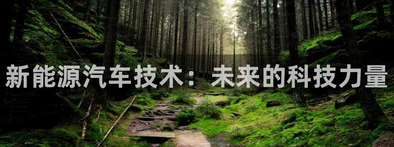 包头众腾娱乐密室逃脱：新能源汽车技术：未