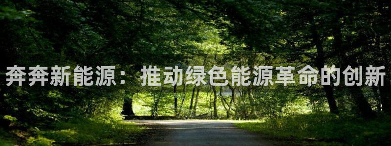 众腾娱乐公司简介：奔奔新能源：推动绿色能