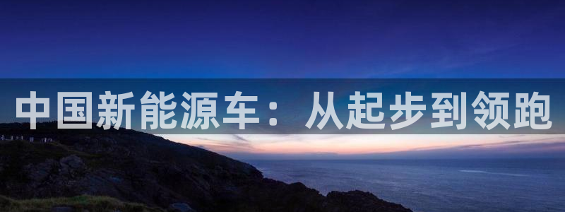 楚雄众腾娱乐：中国新能源车：从起步到领跑