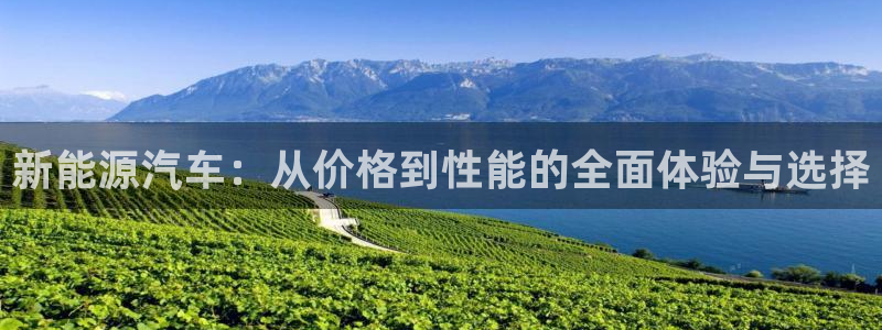 众腾娱乐博彩：新能源汽车：从价格到性能的