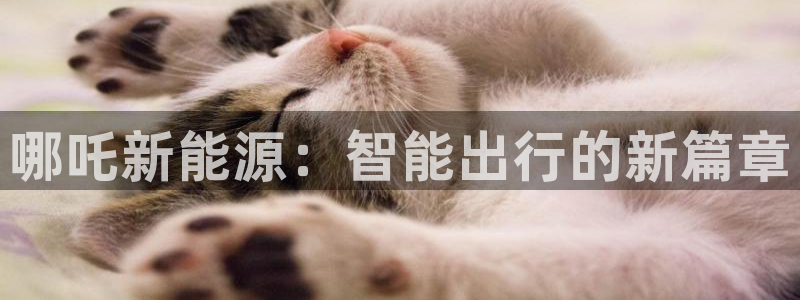 众腾娱乐:哪吒新能源:智能出行的新篇章