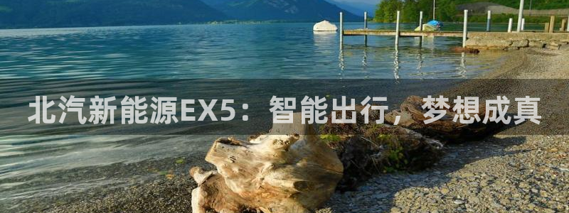 众腾娱乐登录:北汽新能源EX5:智能出行,梦想成真