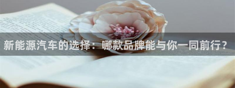 腾众竞技娱乐:新能源汽车的选择:哪款品牌能与你一同前行?