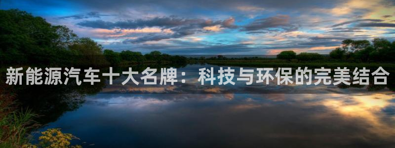 腾耀娱乐众推99840：新能源汽车十大名