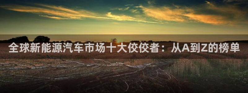 众腾娱乐平台群7O777:全球新能源汽车市场十大佼佼者:从A