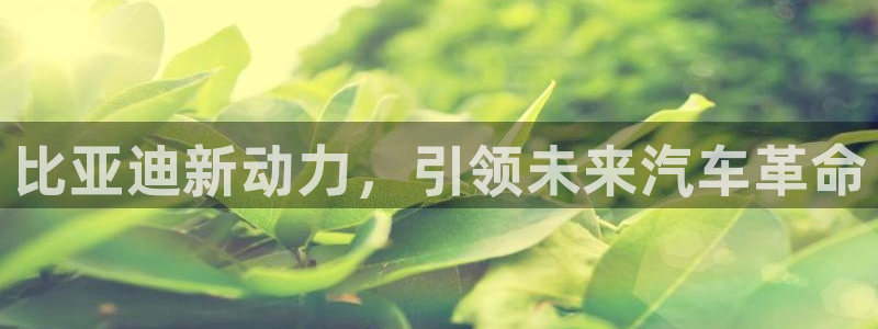 腾耀娱乐众推46996