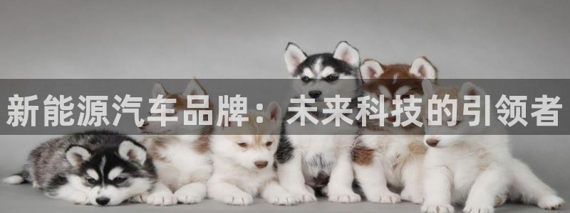 众腾娱乐招商:新能源汽车品牌:未来科技的引领者