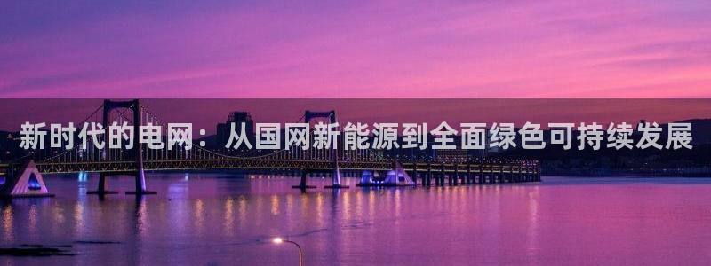 众联别墅g座上腾娱乐有限公司:新时代的电网:从国网新能源到全