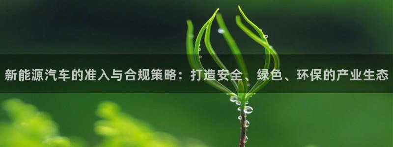 腾耀娱乐众推55312:新能源汽车的准入与合规策略:打造安全