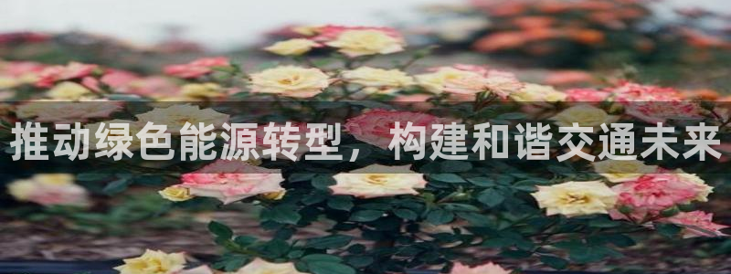 众腾娱乐注册:推动绿色能源转型,构建和谐交通未来