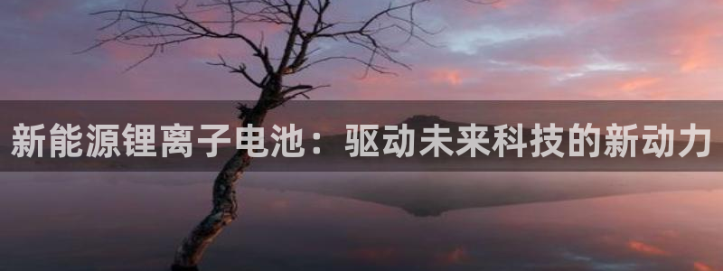 腾耀娱乐29999出众:新能源锂离子电池:驱动未来科技的新动
