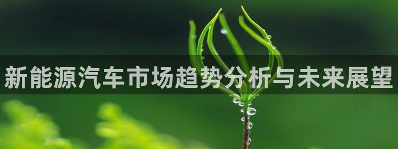 众腾娱乐APP下载:新能源汽车市场趋势分析与未来展望