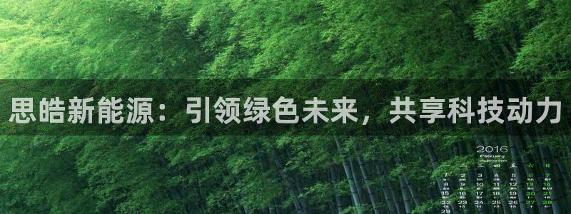 众腾娱乐下7O777：思皓新能源：引领绿