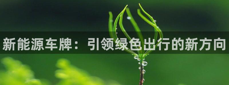 众腾娱乐得7O777:新能源车牌:引领绿色出行的新方向