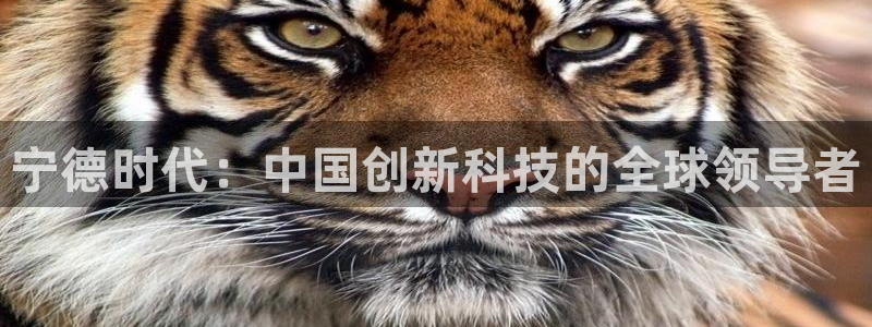 内蒙古众腾娱乐文化法人