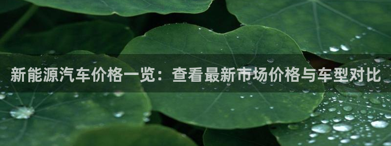 众腾娱乐平台官网入口：新能源汽车价格一览