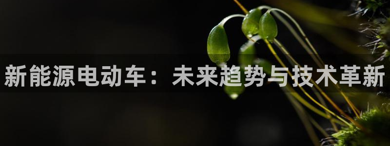众腾娱乐平台:新能源电动车:未来趋势与技术革新