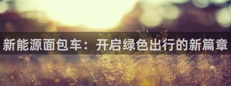 腾众娱乐的彩票靠谱吗:新能源面包车:开启绿色出行的新篇章