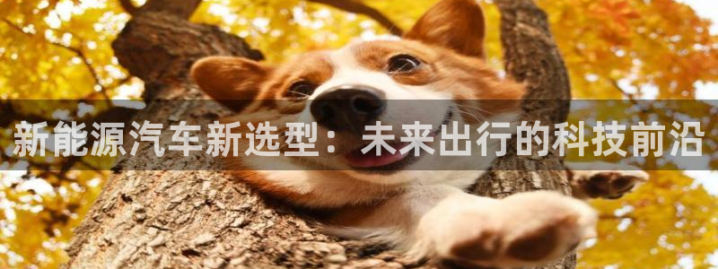 腾众娱乐:新能源汽车新选型:未来出行的科技前沿