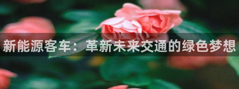 众腾娱乐app：新能源客车：革新未来交通