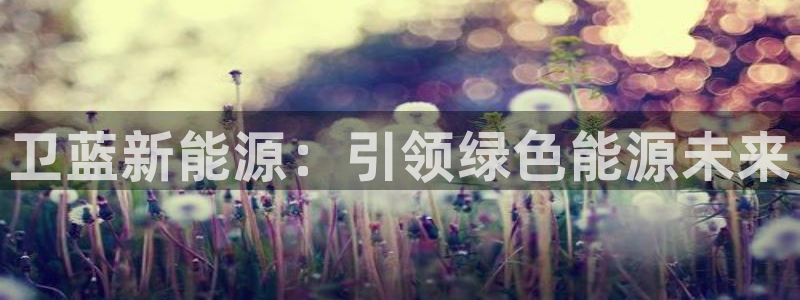 众腾娱乐招商：卫蓝新能源：引领绿色能源未